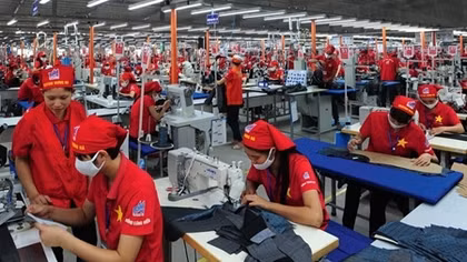 Thị trường lao động hứa hẹn nhiều “điểm sáng”