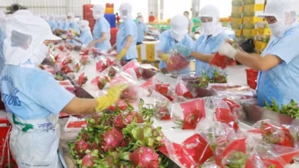 Xuất khẩu sang thị trường Trung Quốc có nhiều thuận lợi