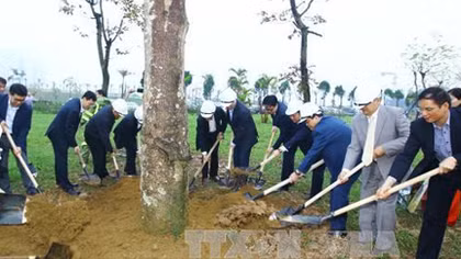 Nhân dân Thủ đô hăng hái thi đua trồng cây xanh