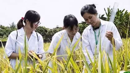 Thiếu hụt trầm trọng nguồn nhân lực chất lượng cao trong lĩnh vực nông nghiệp