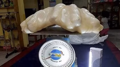Khối ngọc trai khổng lồ