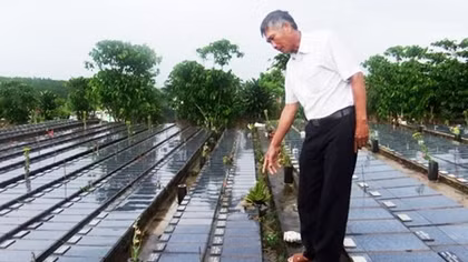 Nghẹn lòng câu chuyện về nghĩa trang đặc biệt của 7.000 hài nhi