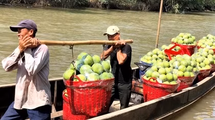 Cần giải quyết khó khăn tiêu thụ nông sản, trái cây vì dịch COVID-19