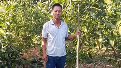 Cần nghiêm trị hành vi hủy hoại nông sản của nông dân