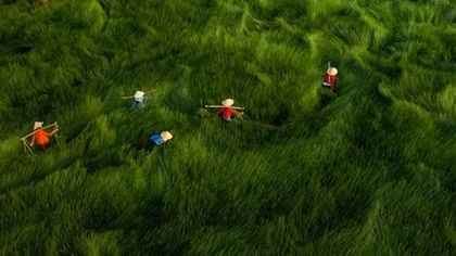 Thương như giữa đất và người