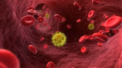 Thêm một hy vọng chiến thắng HIV