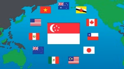 TPP 11 không triệt tiêu sức ép phải cải cách thể chế