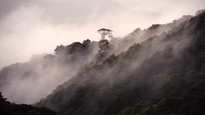 Vì sao lăng mộ Lưu Bị và Tôn Quyền không được khai quật?