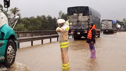 Tươi tắn áo vàng trong lòng du khách