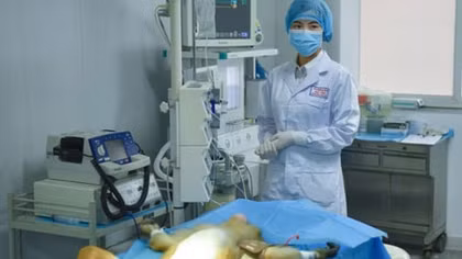 Trung Quốc in mạch máu 3D cấy ghép thành công vào khỉ