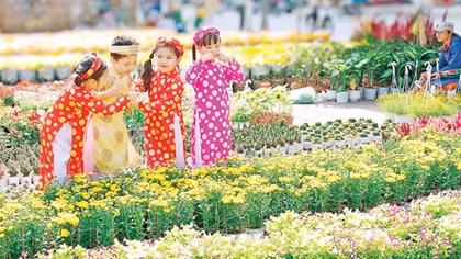 Tản mạn hoa tết