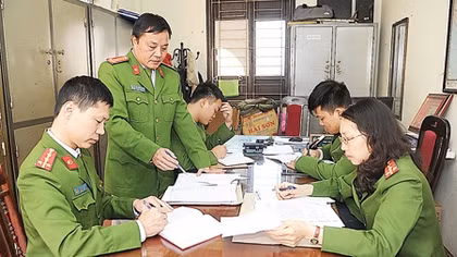 "Săn cá mập" giữa đại dương