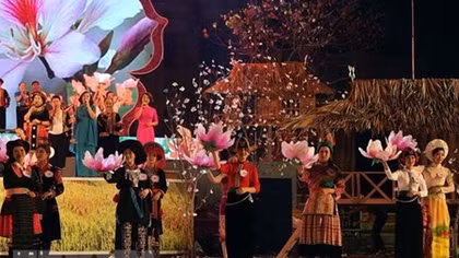 Nhiều điểm nhấn trong Lễ hội hoa ban năm 2019