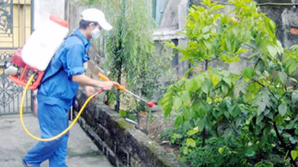 Lâm Đồng bùng phát bệnh sốt xuất huyết