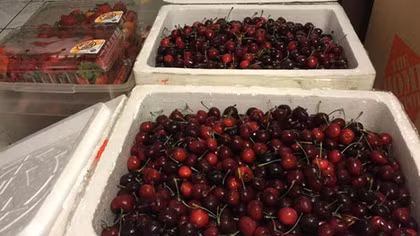 Hư thực câu chuyện cherry bị móc trộm tại Sân bay Nội Bài