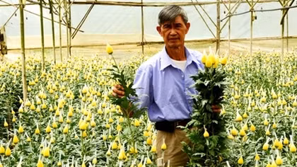 80 năm làng hoa Hà Nội giữa Đà Lạt