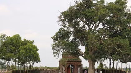 Trăm năm tượng đá cũng rêu phong...