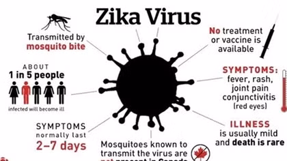 Virus Zika có thể làm teo tinh hoàn và vô sinh ở nam giới