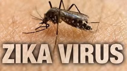 Bệnh do vi rút Zika còn tiếp tục diễn biến phức tạp