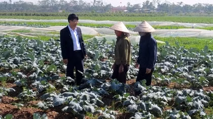 Agribank Hà Nam đồng hành với nông nghiệp sạch