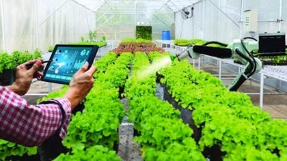 Công bố Báo cáo tổng quan nông nghiệp số Việt Nam 2021
