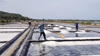 Làng muối Tuyết Diêm đắng chát vị mặn mồ hôi