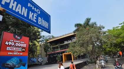Phó Thủ tướng yêu cầu Hà Nội xử lý dứt điểm vi phạm cho thuê đất mương thoát nước