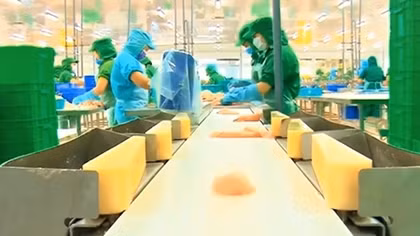 Công ty I.D.I và mục tiêu phát triển bền vững