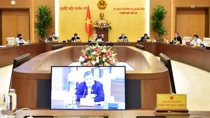 Làm rõ quy định kiểm toán trước khi ký hợp đồng