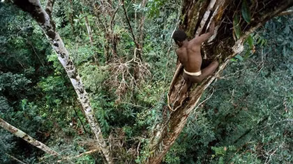 Bộ lạc sống trên cây ở Indonesia