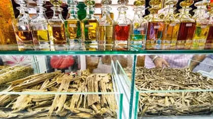 Hồng Công trước nỗi lo tuyệt diệt trầm hương