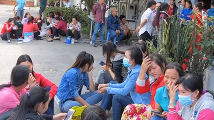 Doanh nghiệp nợ bảo hiểm bị đề nghị xử lý hình sự