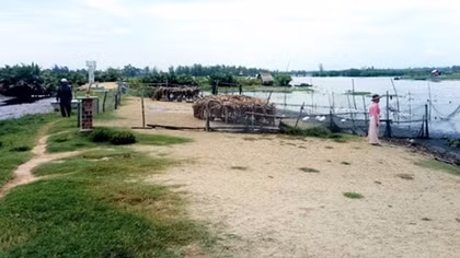 Đê ngăn mặn ven sông Trường Giang bị hư hỏng nghiêm trọng