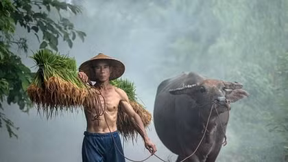 Từ “lỗ cốt” đến “con cu hai cốt”