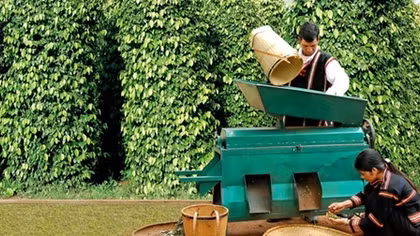 Nông nghiệp 4.0: Nói ít đi và bắt tay vào thực tiễn