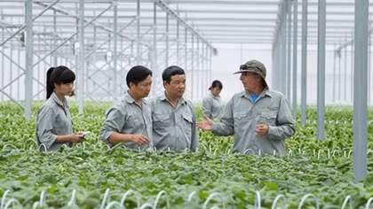 Làm chỗ dựa tin cậy cho nông dân để tăng chuỗi giá trị