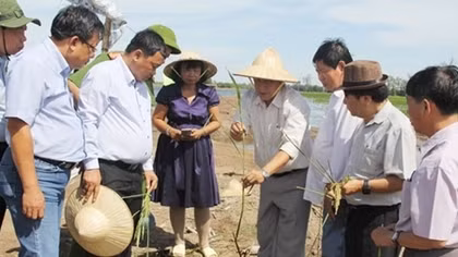 Trả đến 150 triệu đồng/tháng vẫn chưa thu hút chuyên gia và nhà khoa học