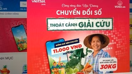 “Giải cứu” nông sản trên sàn thương mại điện tử