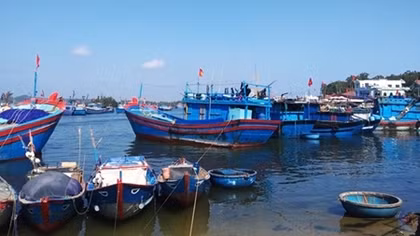 Đầu năm khan hiếm lao động biển