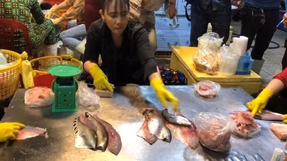 TP Hồ Chí Minh ghi nhận hai biến chủng Ấn Độ và Anh