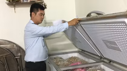 (Kinh hãi) Hàng tấn phụ phẩm bò được làm trắng bằng vôi bột