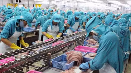 Cơ hội và thách thức với vựa nông sản vùng đồng bằng sông Cửu Long