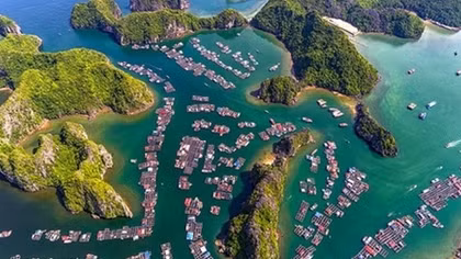 Tài tử phim Titanic ví Vịnh Lan Hạ như thiên đường 
