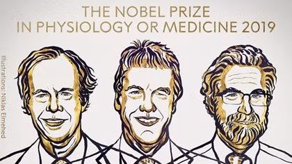 Nobel Y sinh 2019 cung cấp chìa khoá then chốt giúp tạo ra các mô mới 
