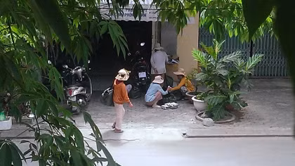 Đà Nẵng dẹp loạn ăn xin biến tướng