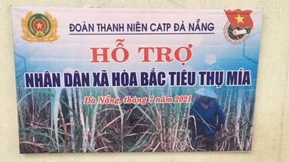 Công an TP Đà Nẵng hỗ trợ nông dân Hoà Bắc tiêu thụ mía đường
