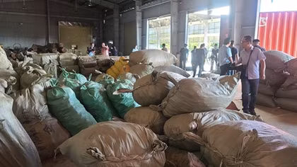 103 tấn dược liệu “đội lốt” nông sản từ Trung Quốc nhập cảng Đà Nẵng 