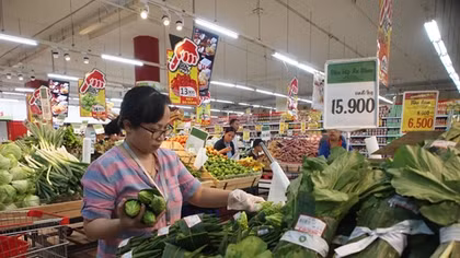 Các siêu thị đồng loạt sử dụng lá chuối để thay thế túi nilon bọc thực phẩm