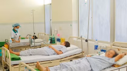  Xử phạt khách sạn có côn trùng gây hại trong khu vực chế biến thức ăn 