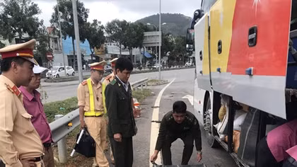 Cứu hộ hàng chục cá thể động vật hoang dã trong sách đỏ